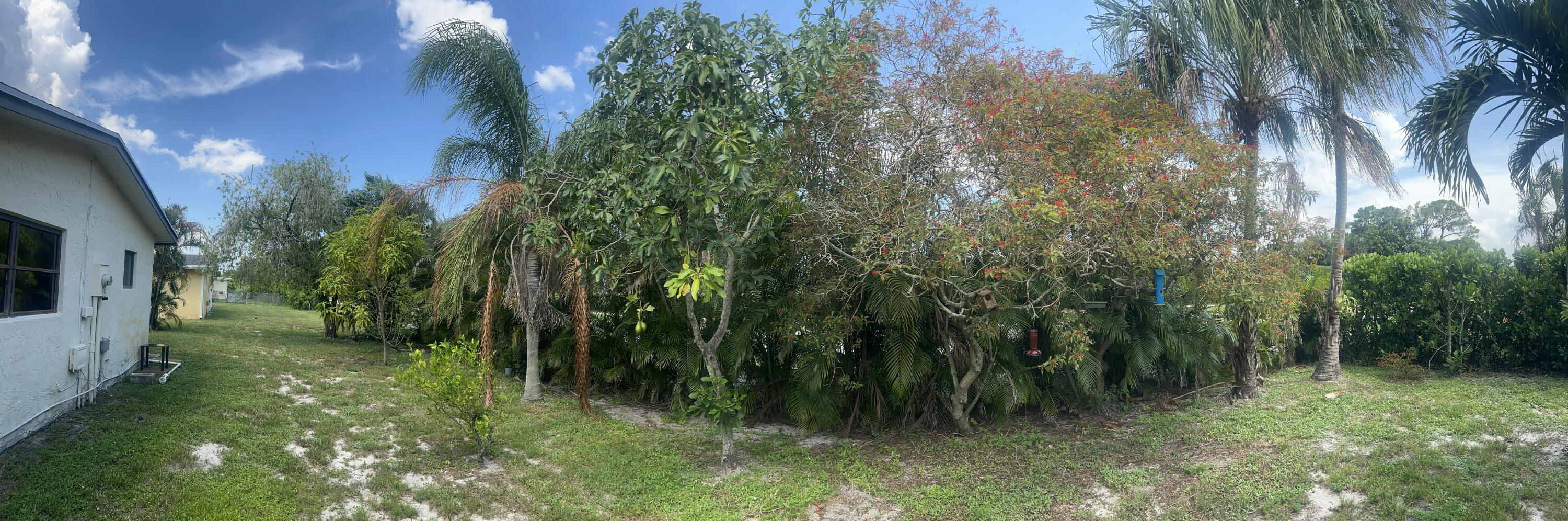 14574 Shadow Wood Lane