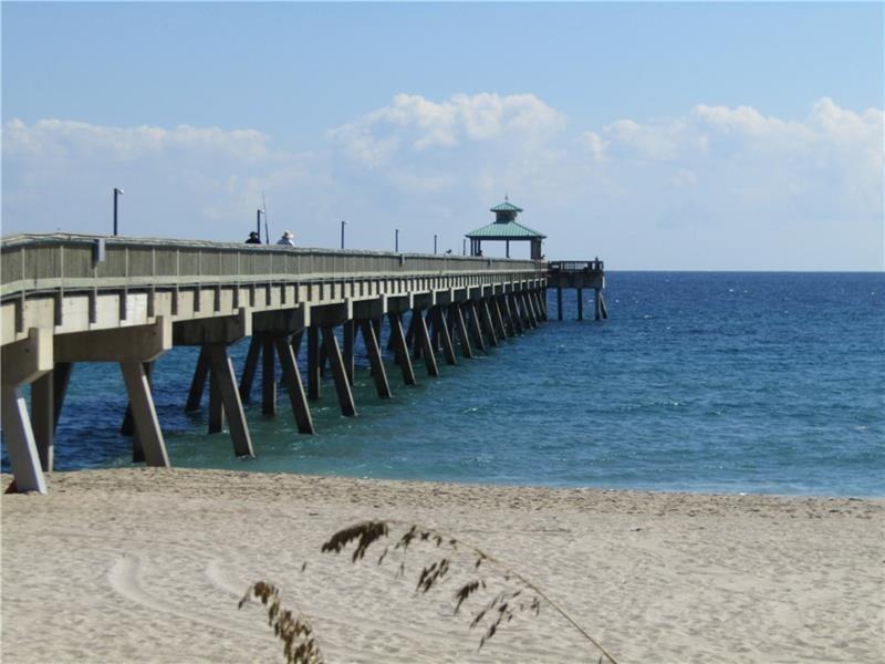161 VENTNOR J Drive 161