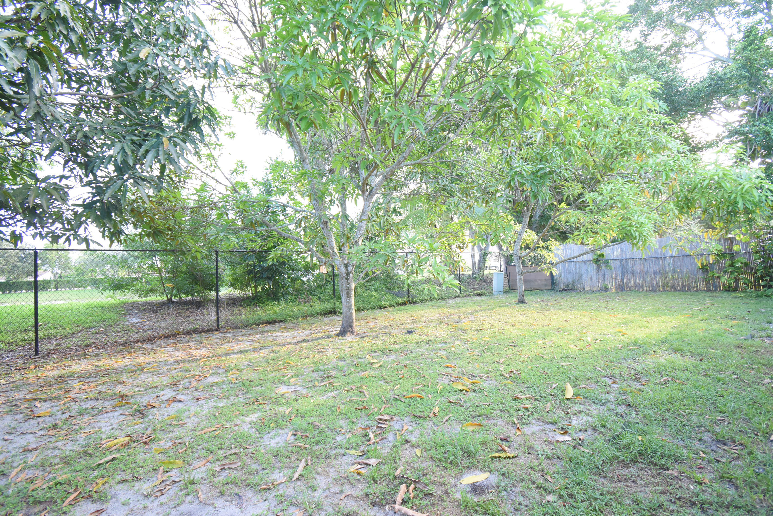 22584 Lanyard Street