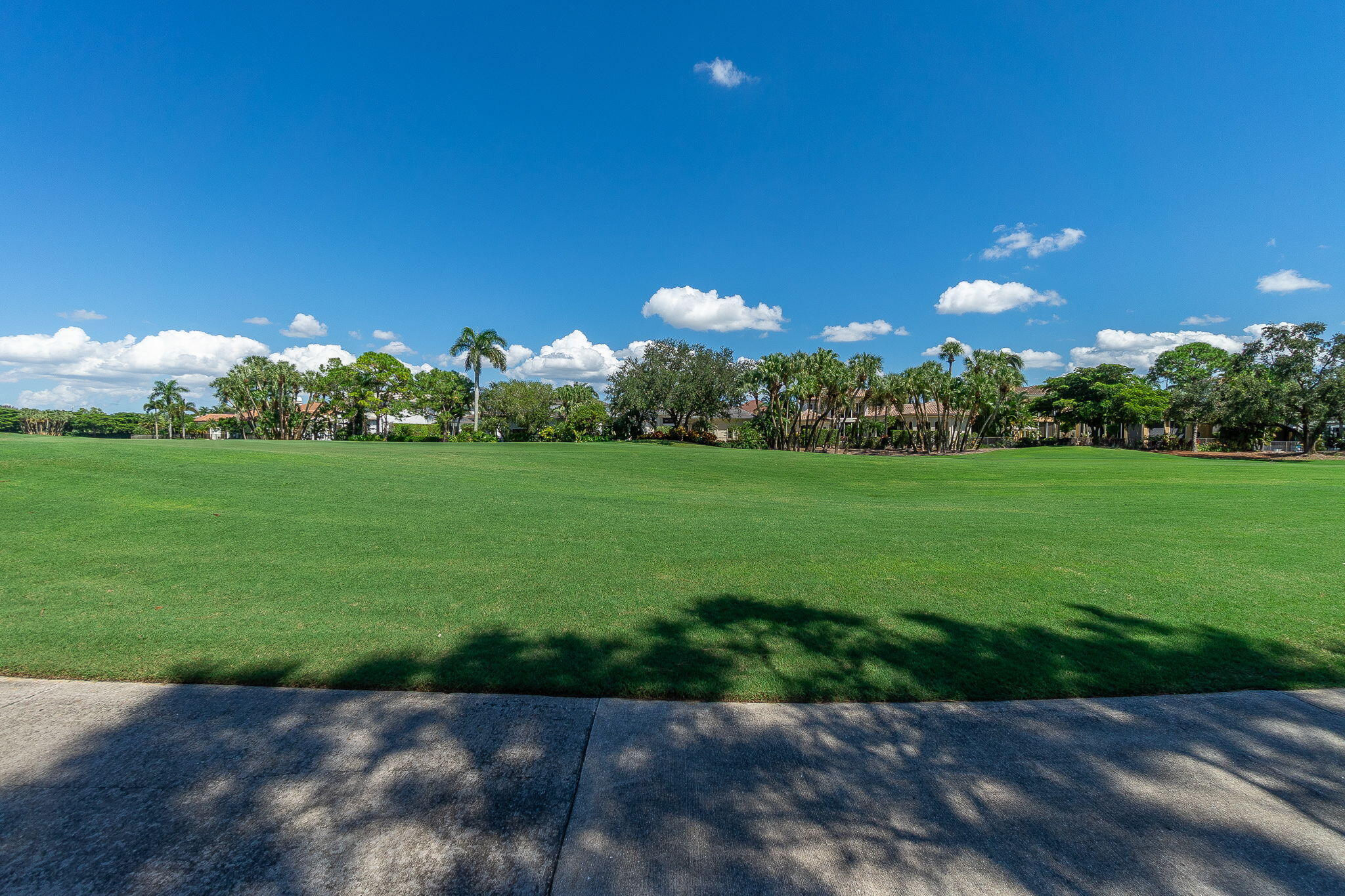 15982 LAUREL CREEK Drive