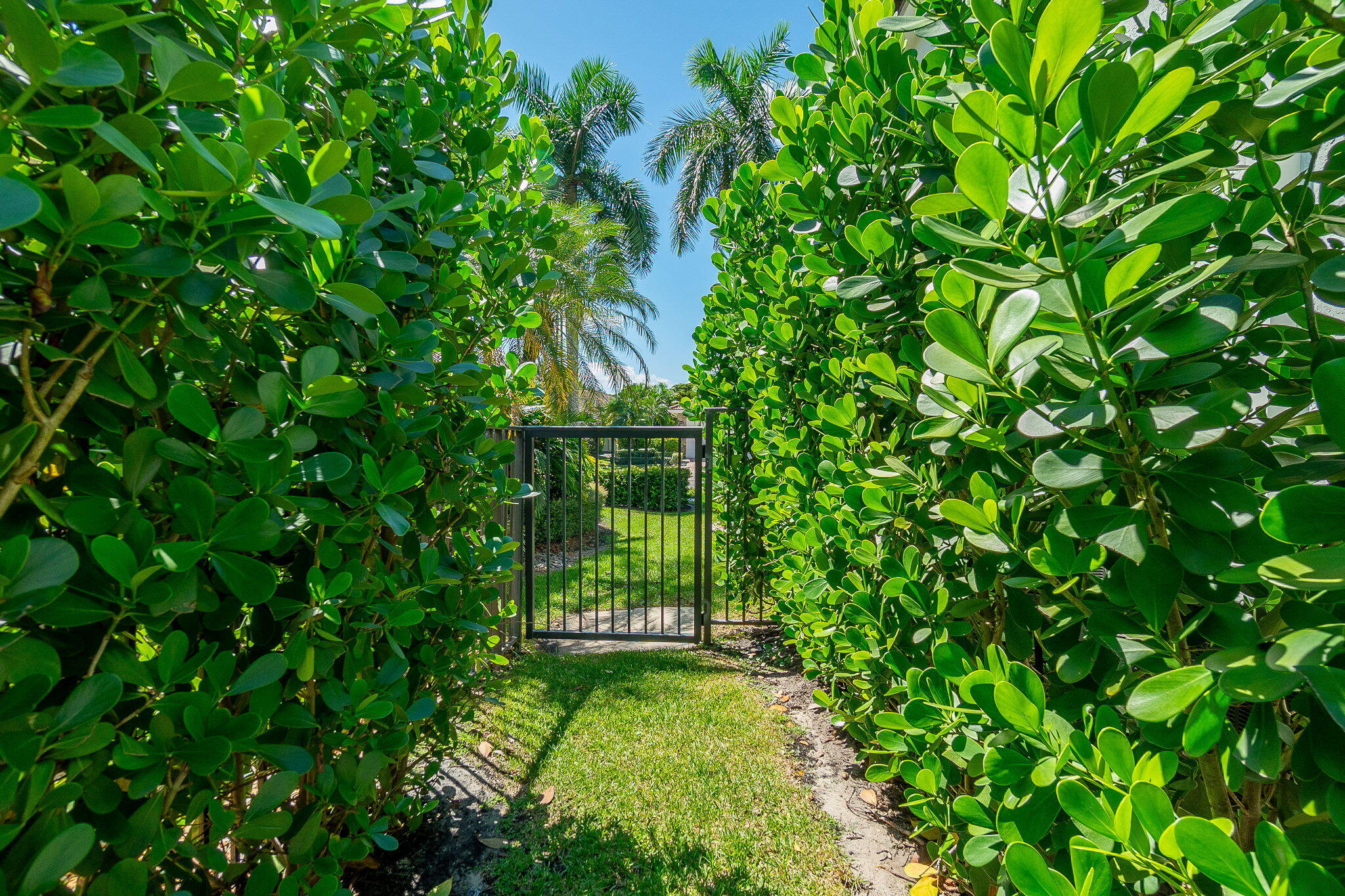 15982 LAUREL CREEK Drive