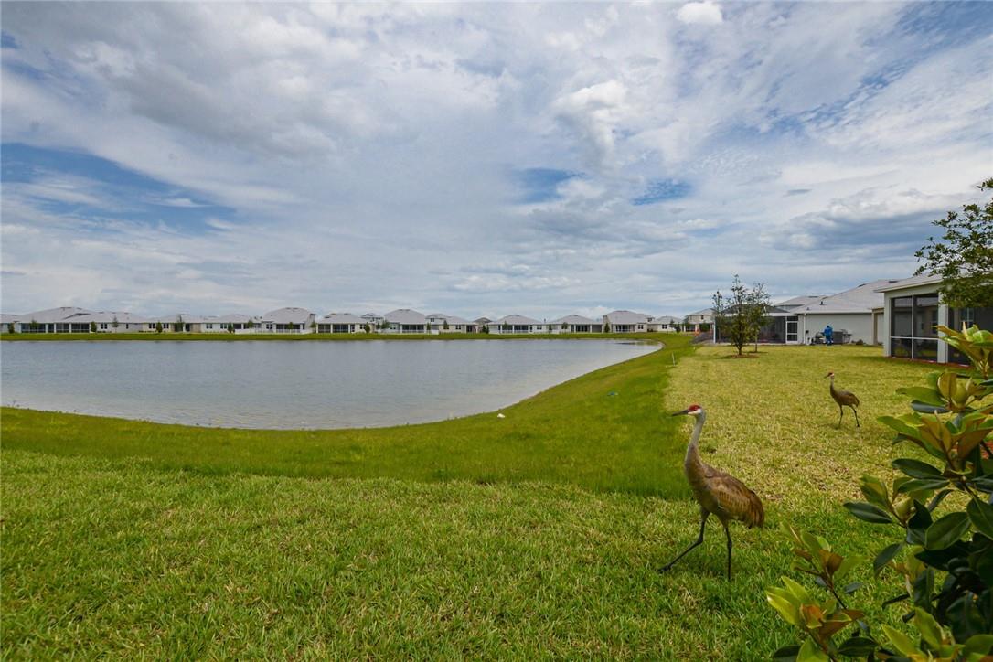 12385 SW Myrtle Oak Dr