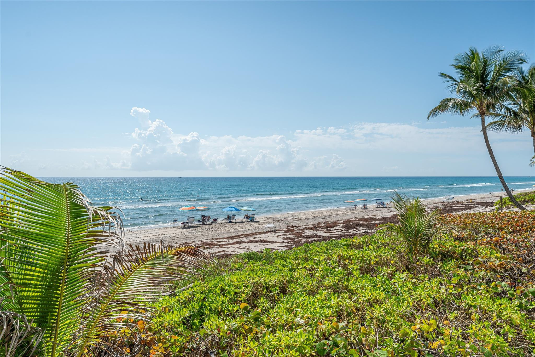 3215 S Ocean Blvd 308