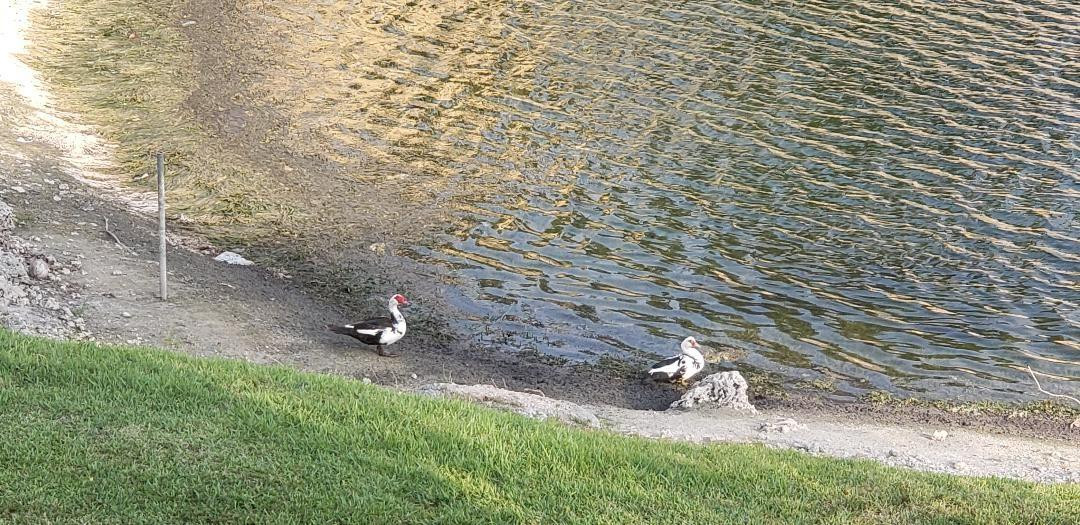 5200 NW 31st Ave 151