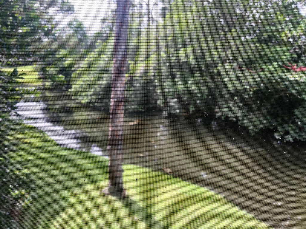 6925 Rain Forest Dr 6925