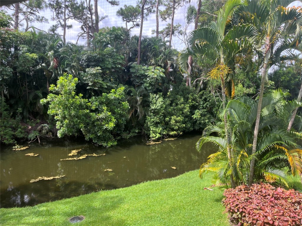 6925 Rain Forest Dr 6925