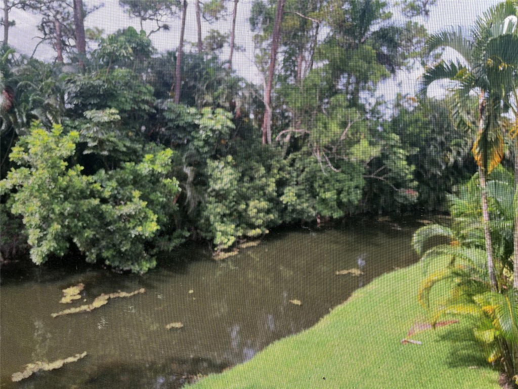 6925 Rain Forest Dr 6925