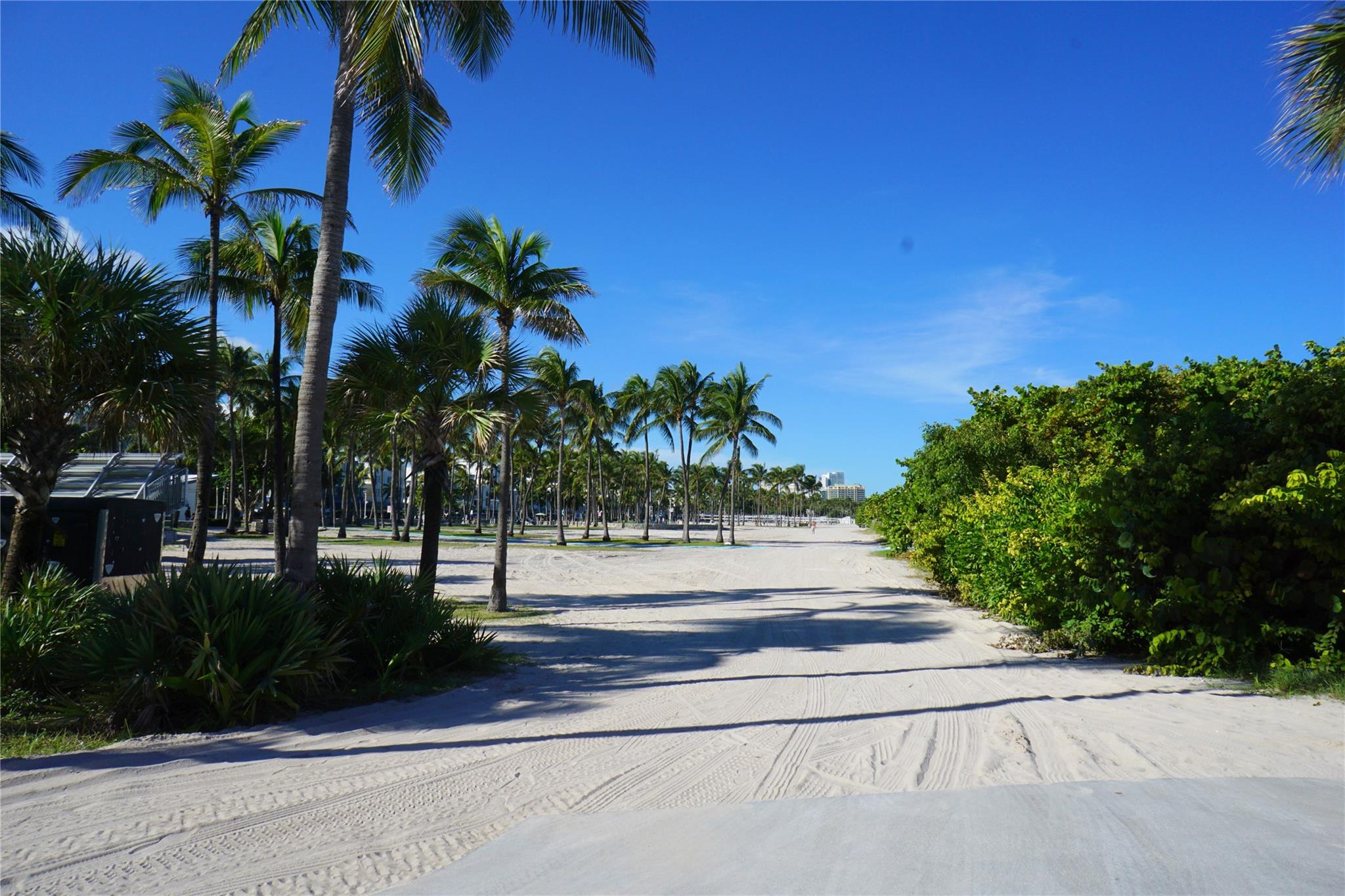 401 Ocean Dr 701