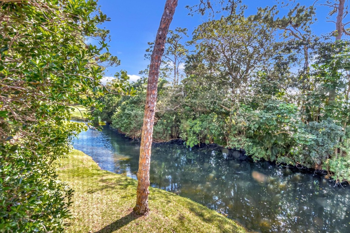 6925 Rain Forest Dr 6925