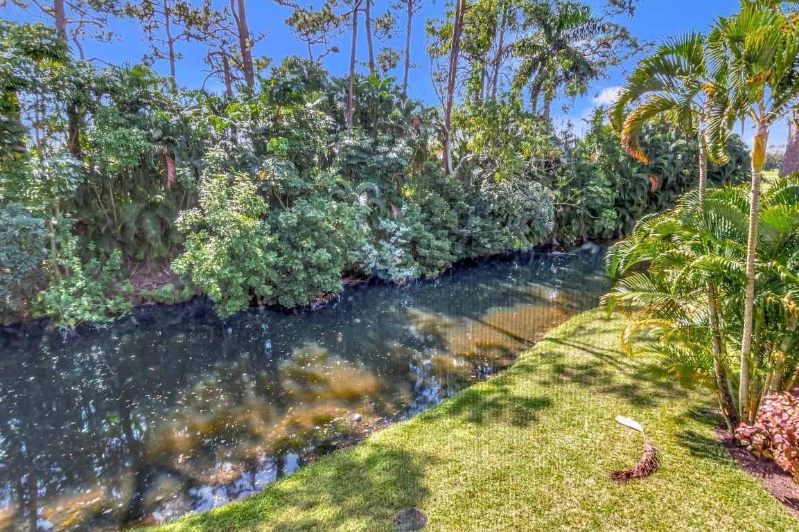 6925 Rain Forest Dr 6925