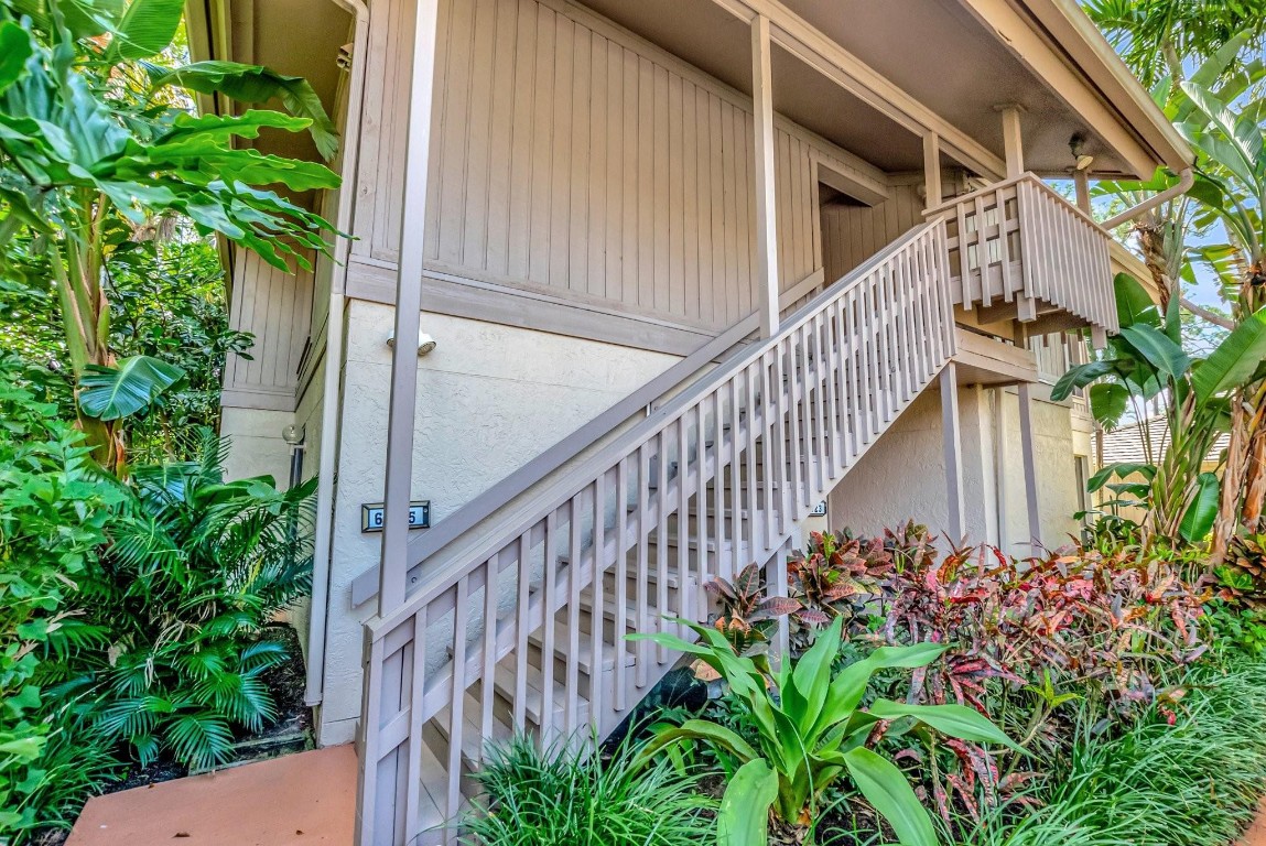 6925 Rain Forest Dr 6925