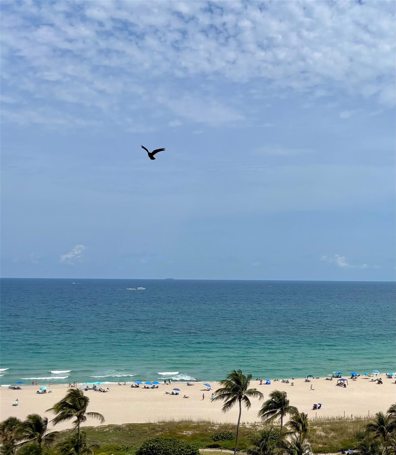 405 N Ocean Blvd 1116