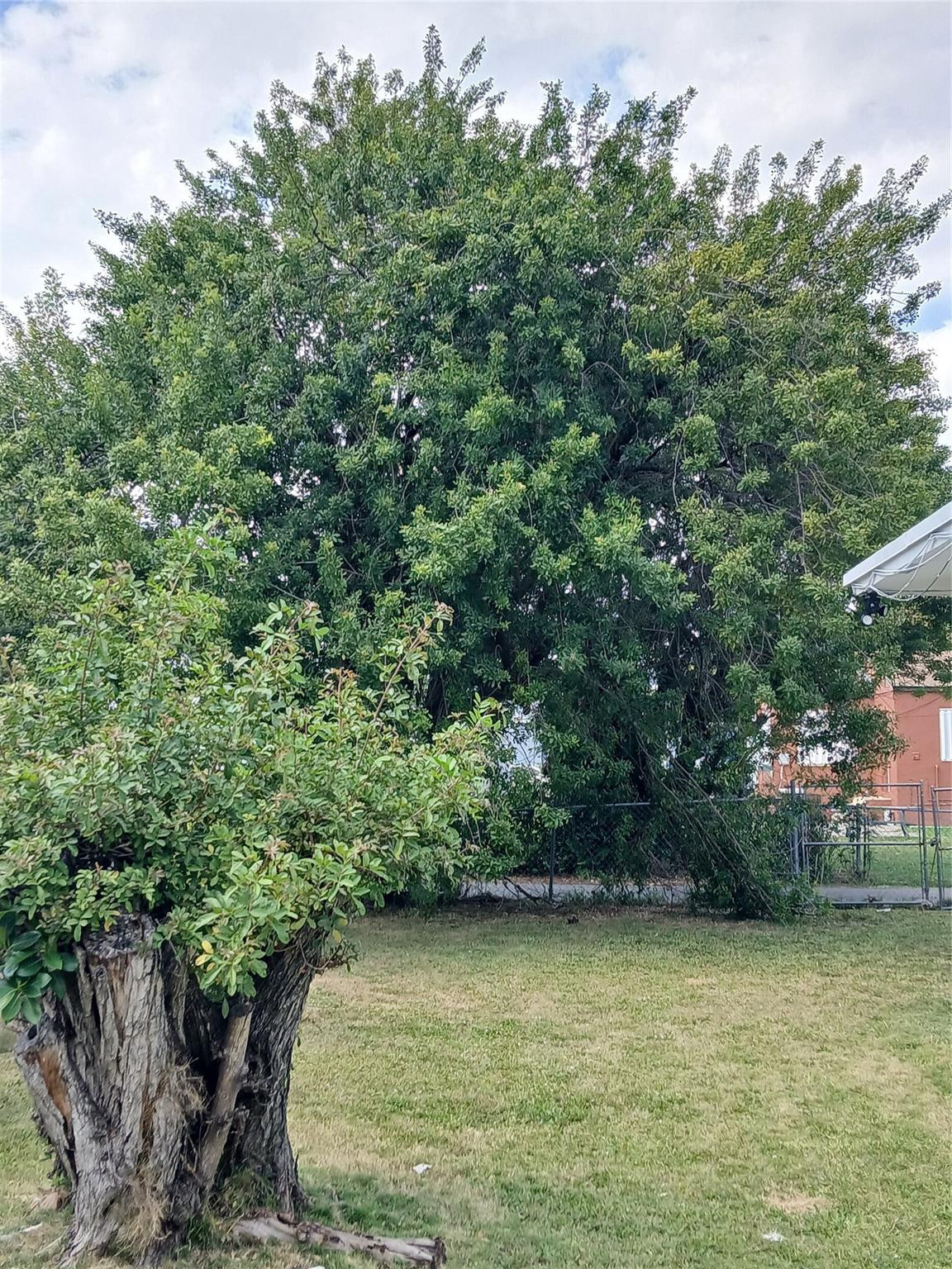 1371 NW 51st Terrace