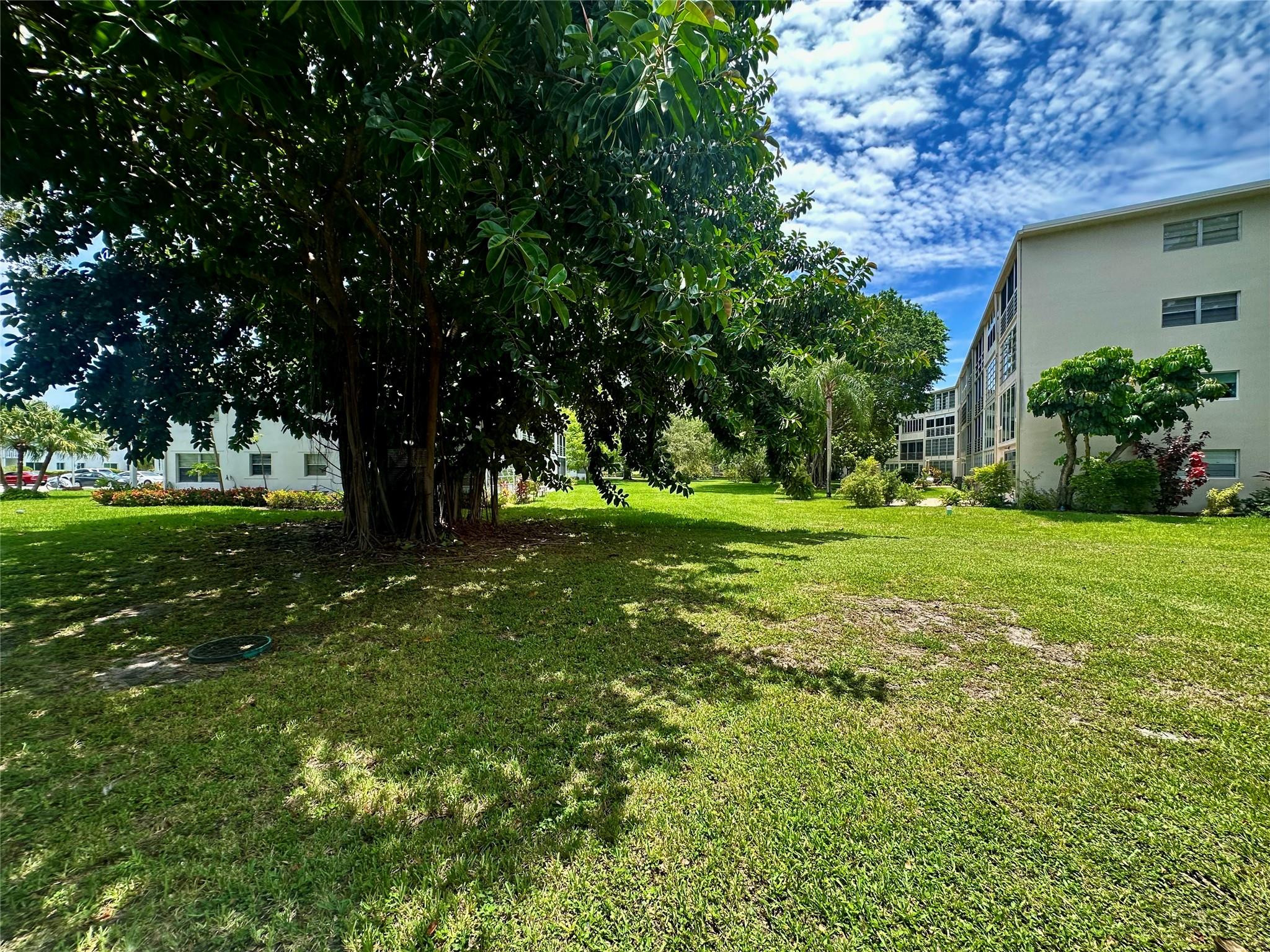 254 Newport P 254