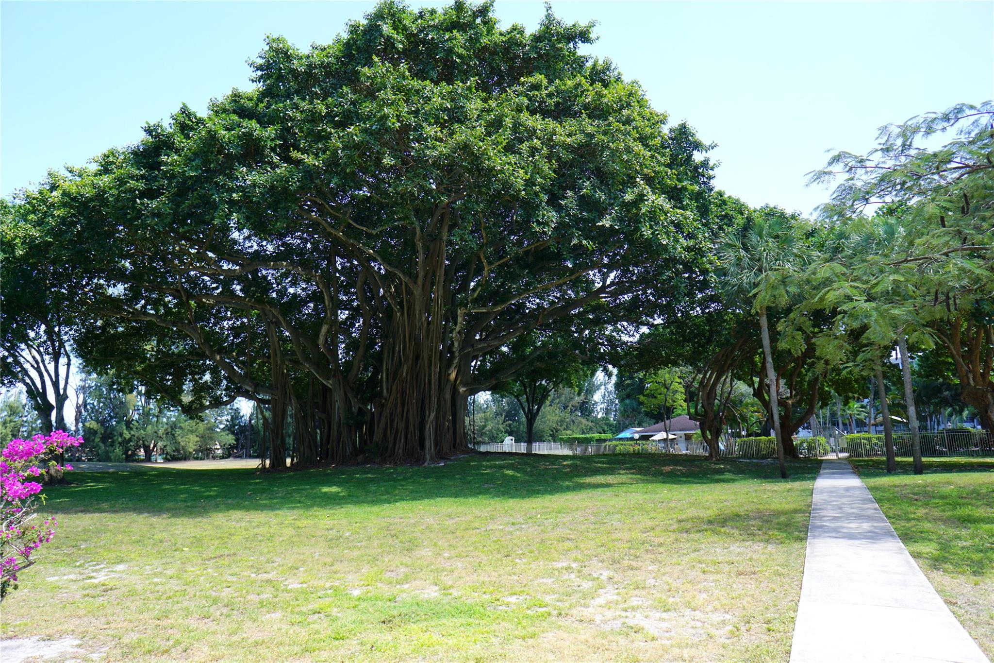 2600 S Course Dr 410