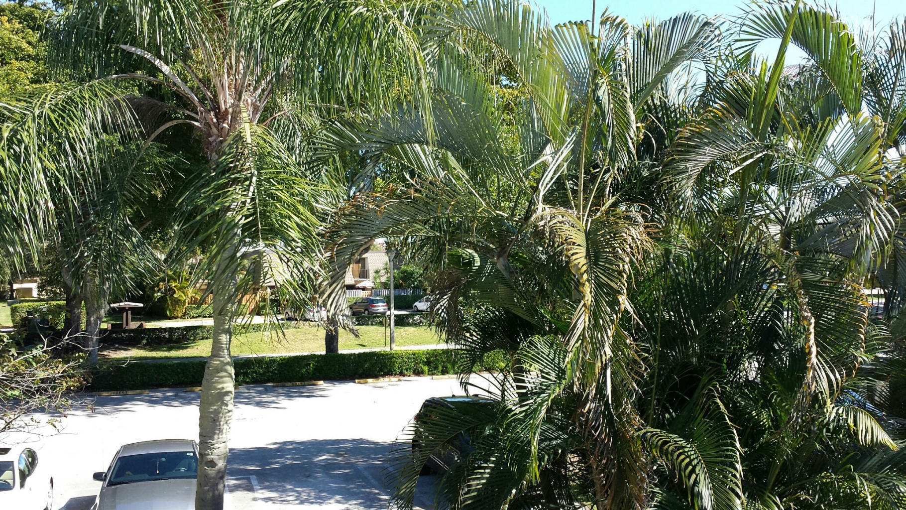 2951 SW 22nd Circle 26c