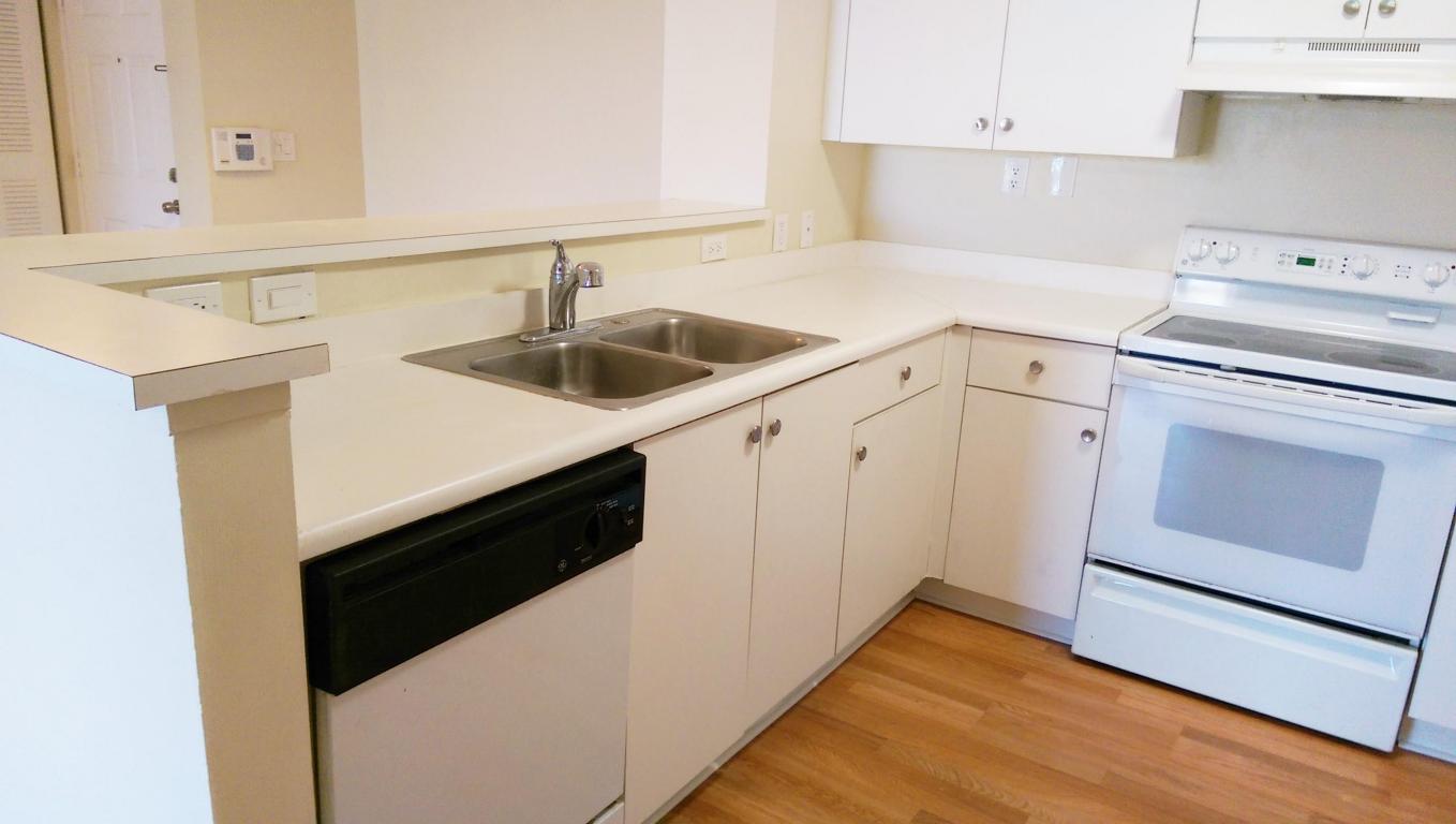 7912 Sonoma Springs Circle 305