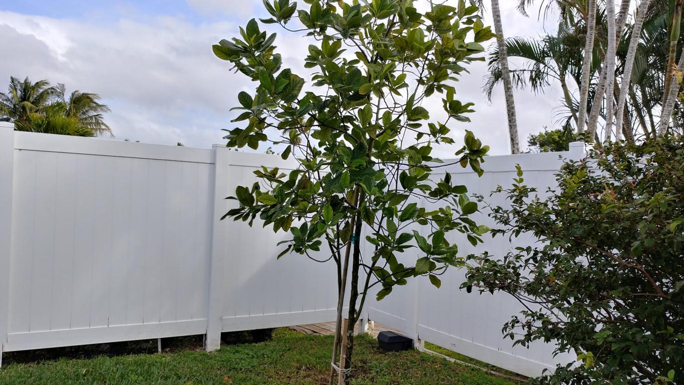 10641 Shady Pond Lane