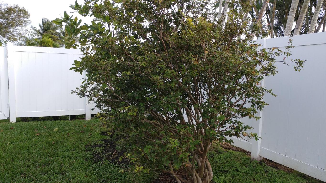 10641 Shady Pond Lane