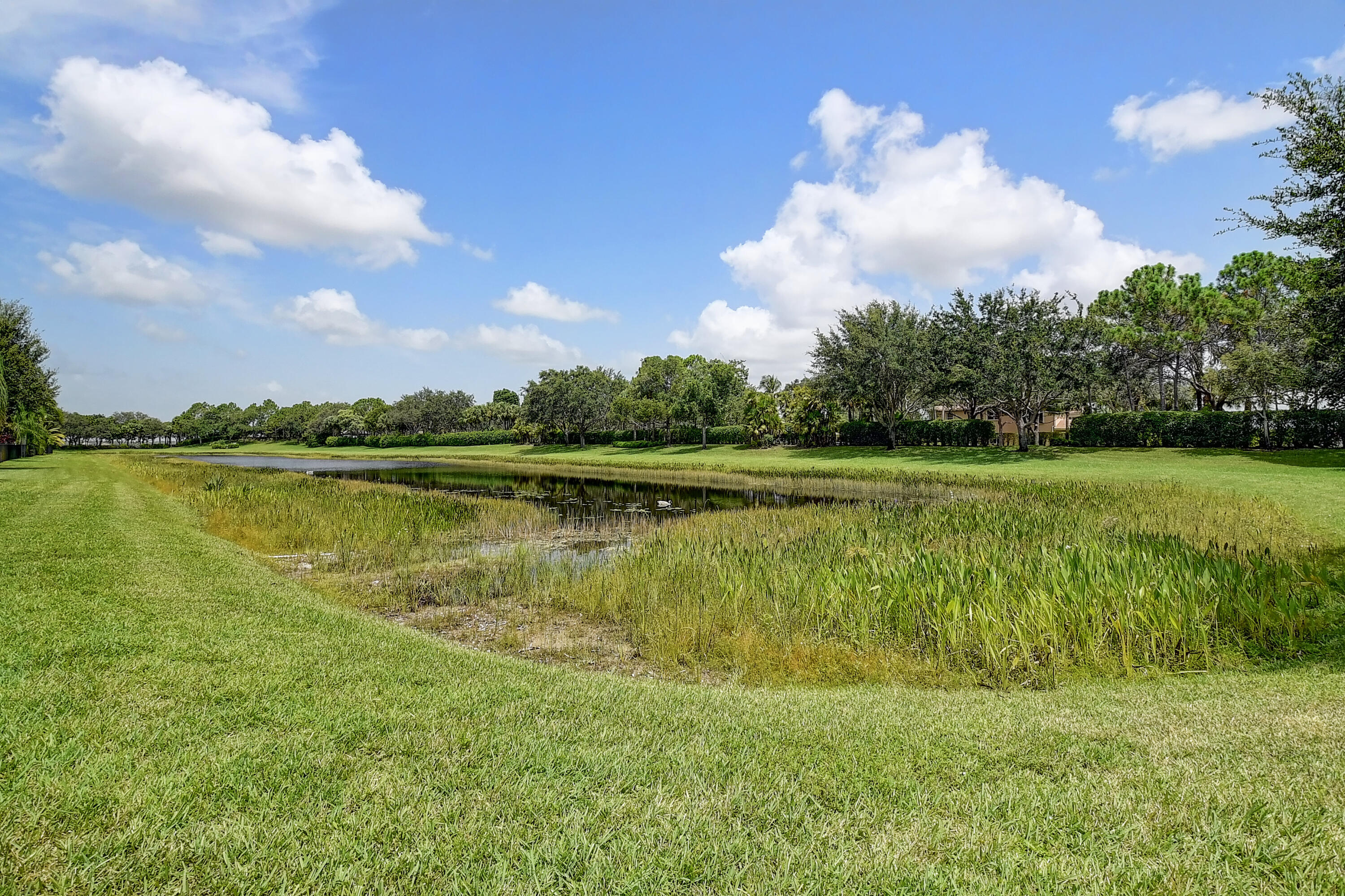 8779 Briarwood Meadow Lane