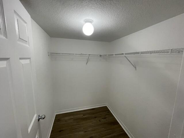 15075 Michelangelo Boulevard Unit: 205