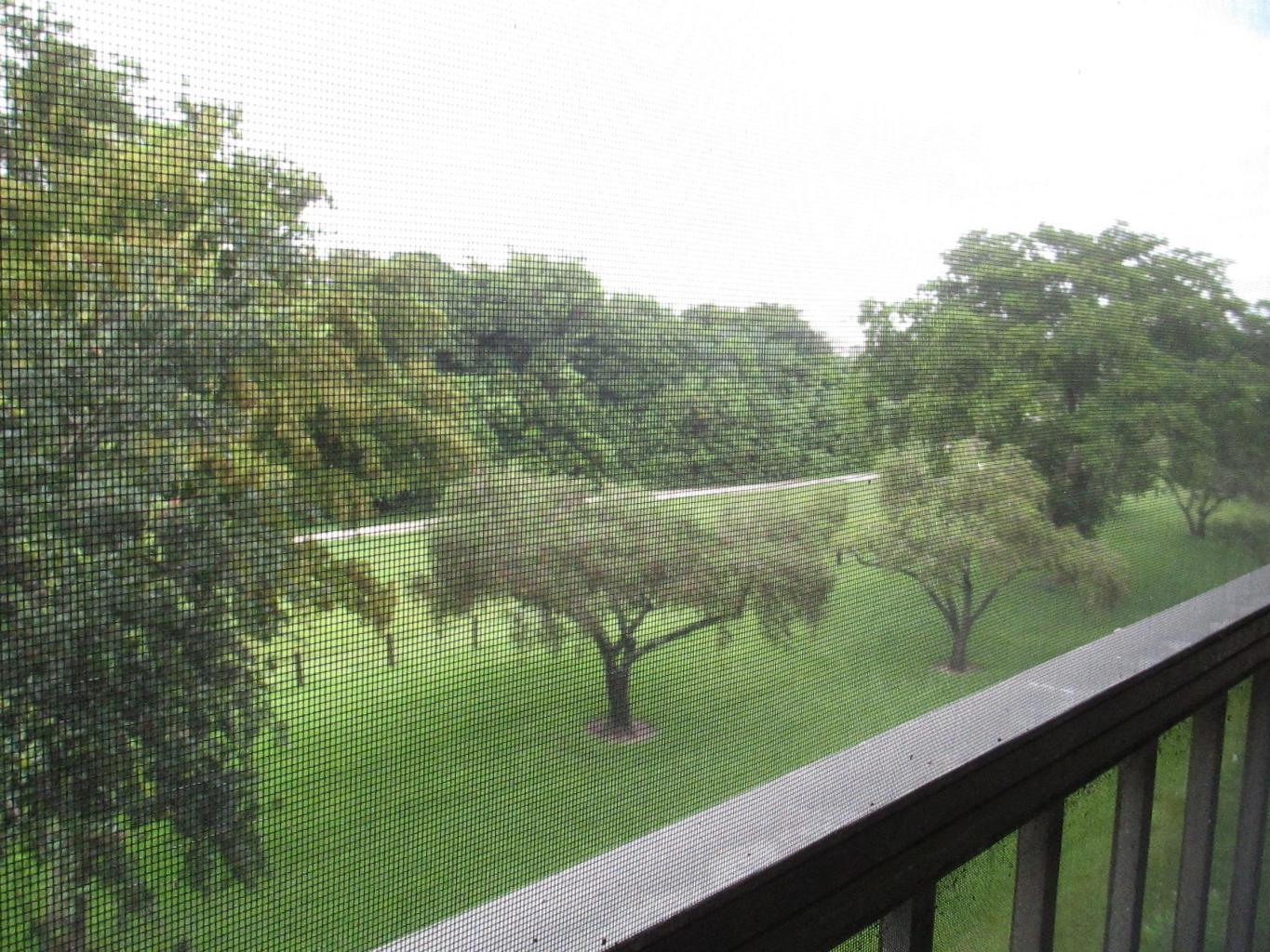 14723 Cumberland Drive Unit: 4030