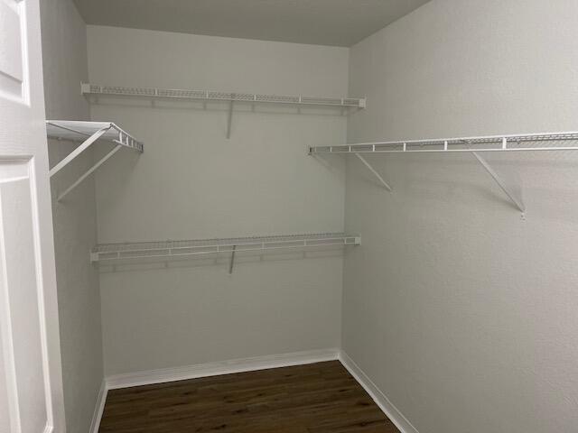 15095 Michelangelo Boulevard Unit: 208