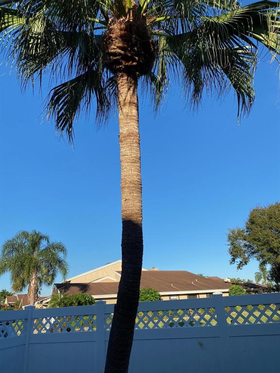 6690 Canary Palm Circle