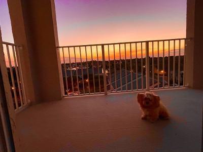 3606 S Ocean Boulevard Unit: 607