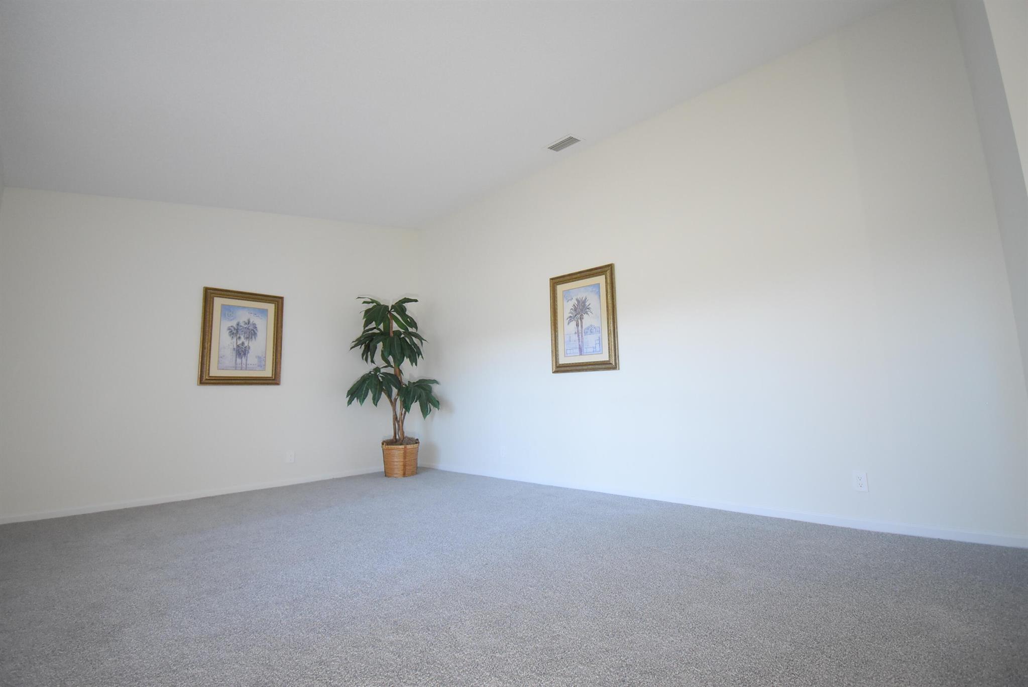 17411 Spring Tree Lane