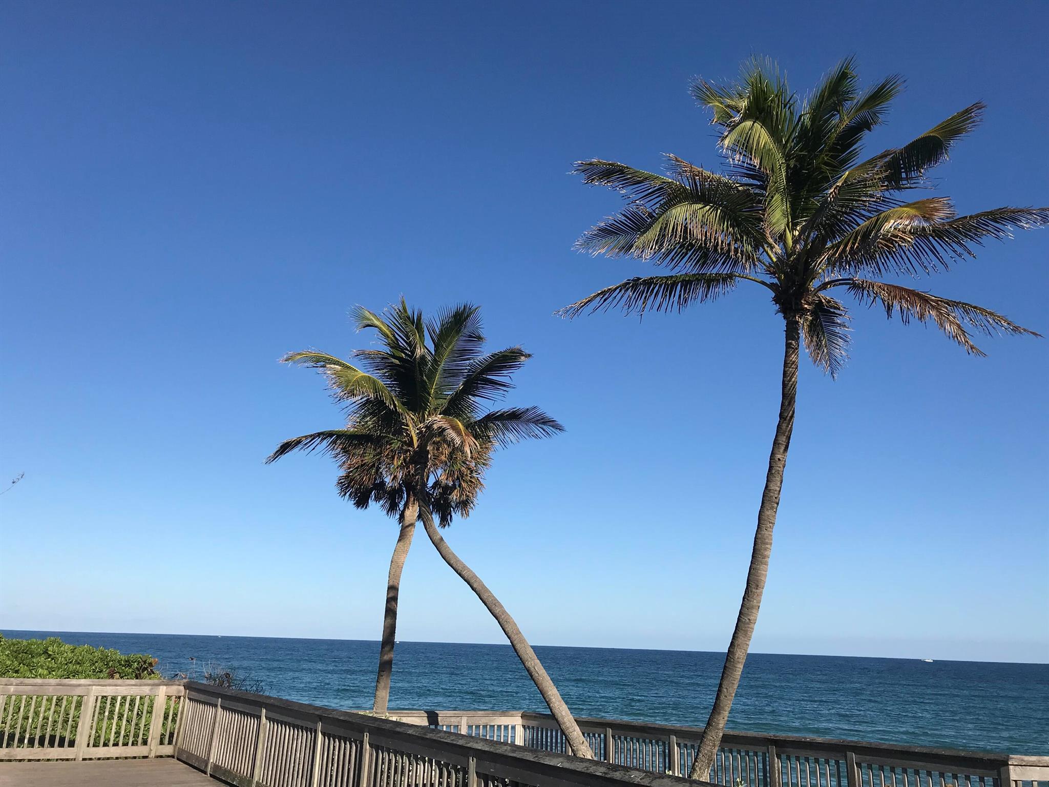 4 Royal Palm Way Unit: 3080