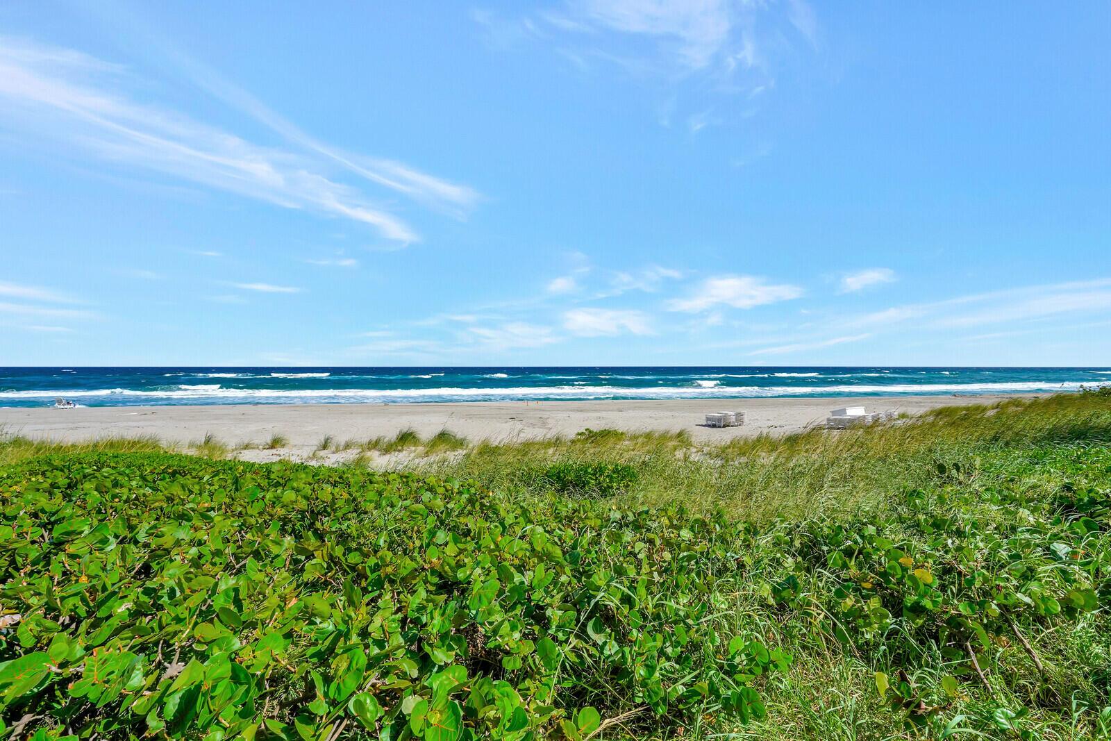 550 S Ocean Boulevard 1005