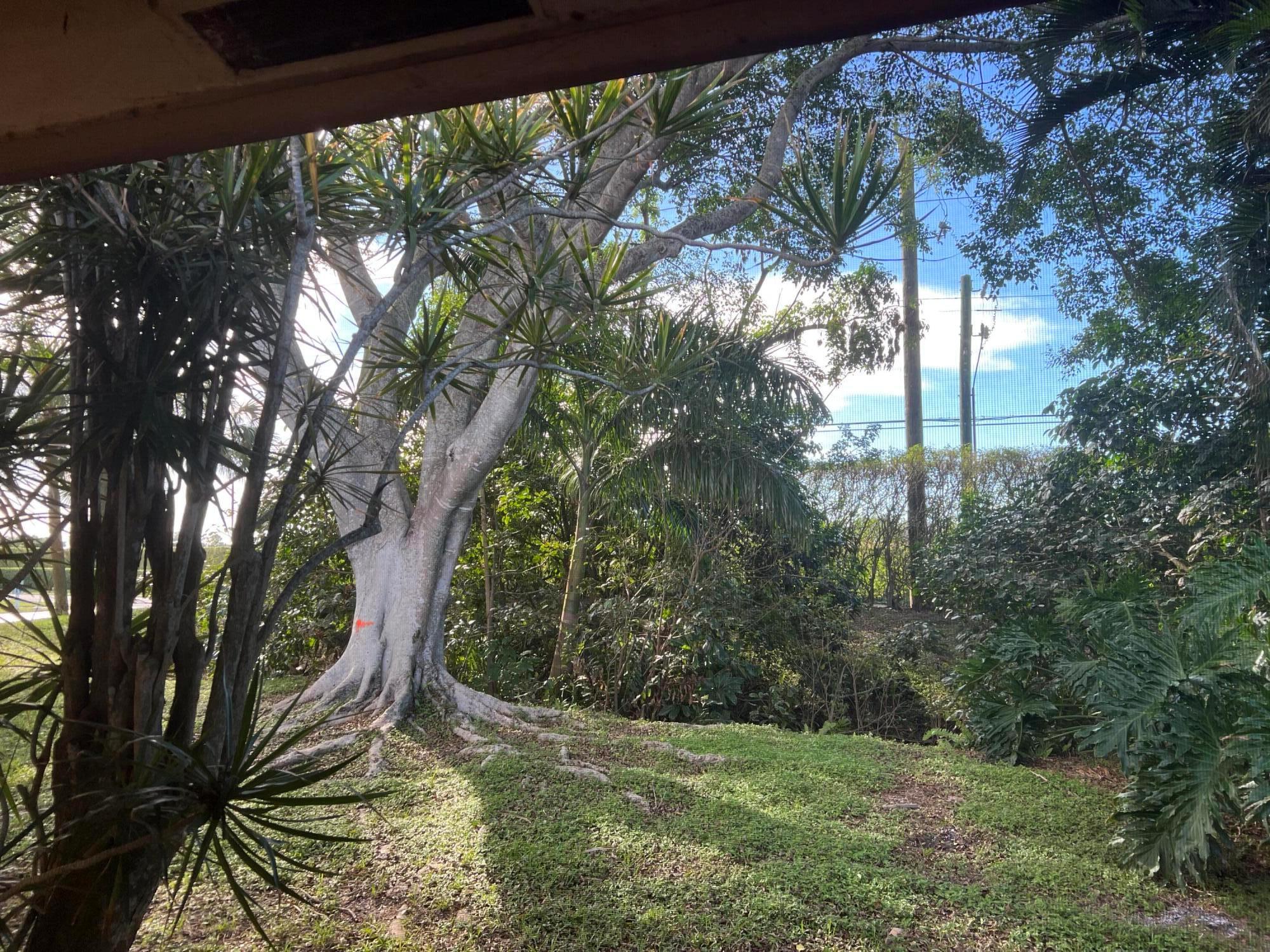 13323 Pineapple Palm Court Unit: B