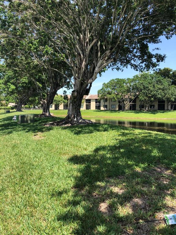 6736 Palmetto Circle S Unit: 203