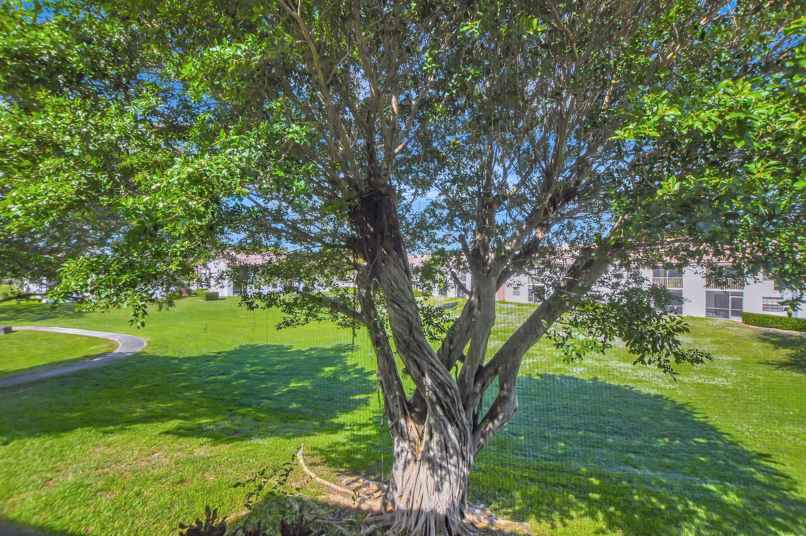 321 Olivewood Place Unit: O221