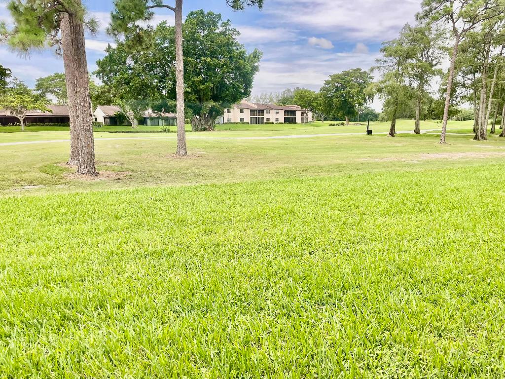 9313 Pecky Cypress Lane 18e