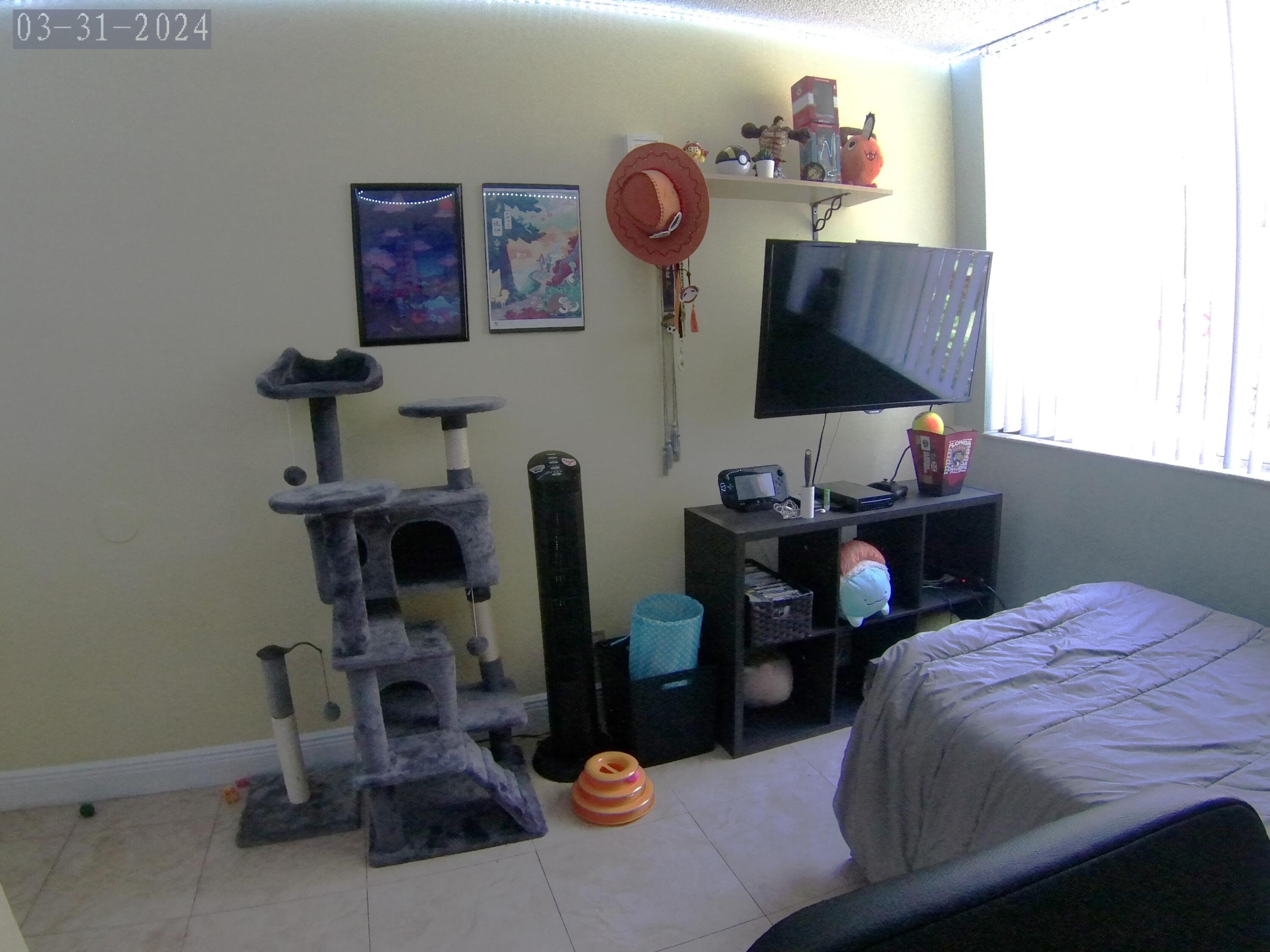 10741 Cleary Boulevard 102