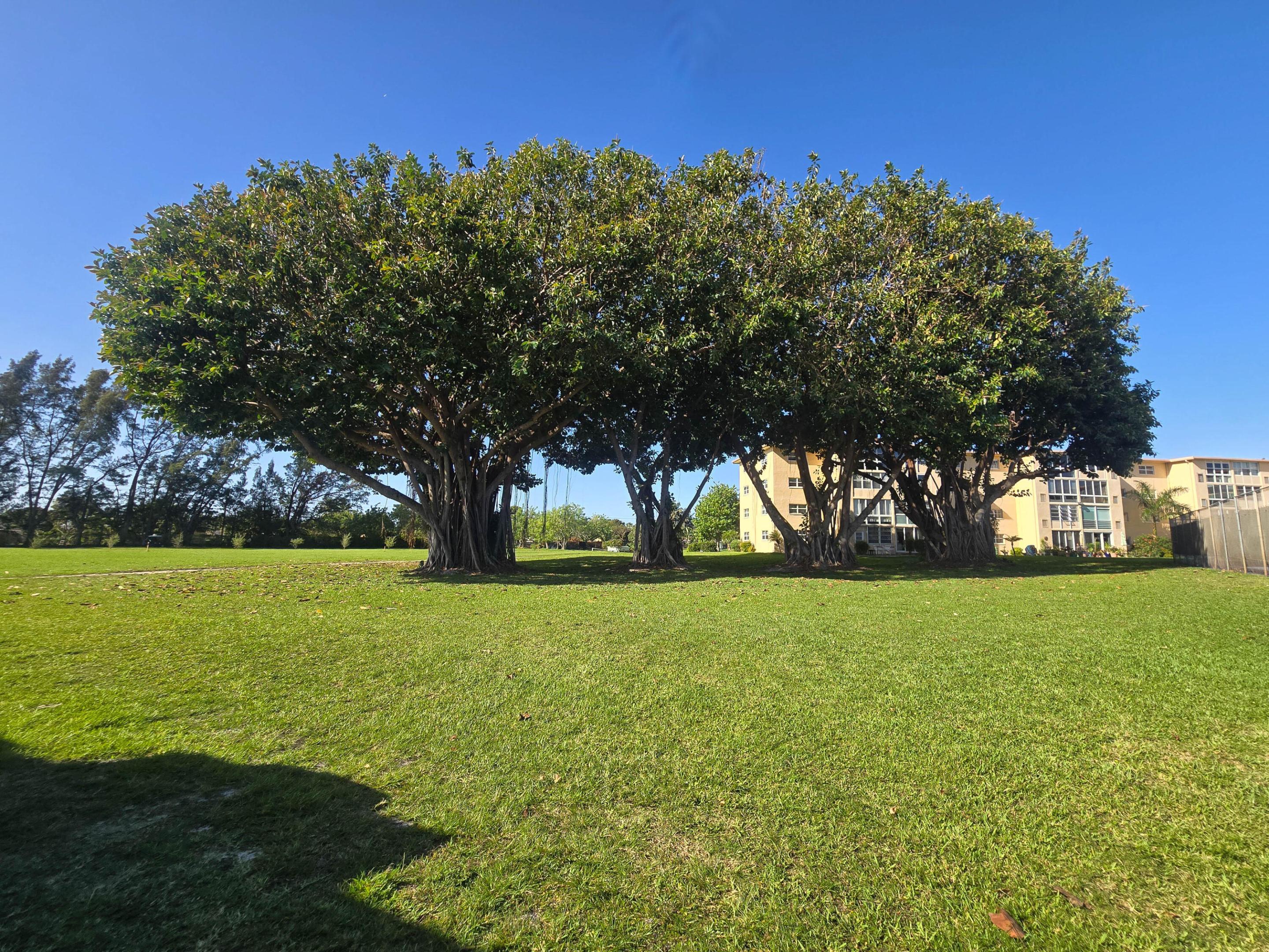 2600 NE 1st Lane 1160