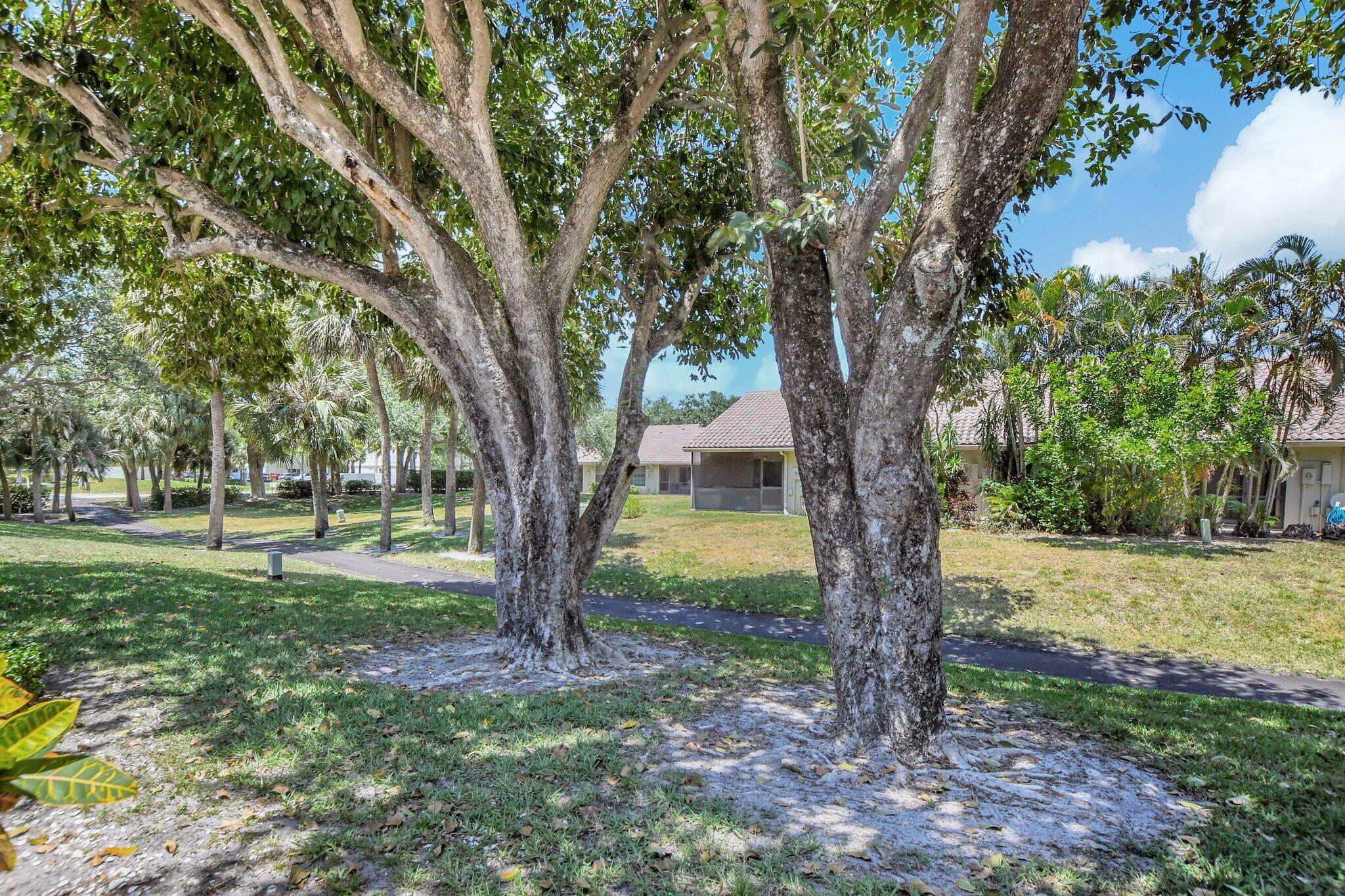 467 Ashwood Place