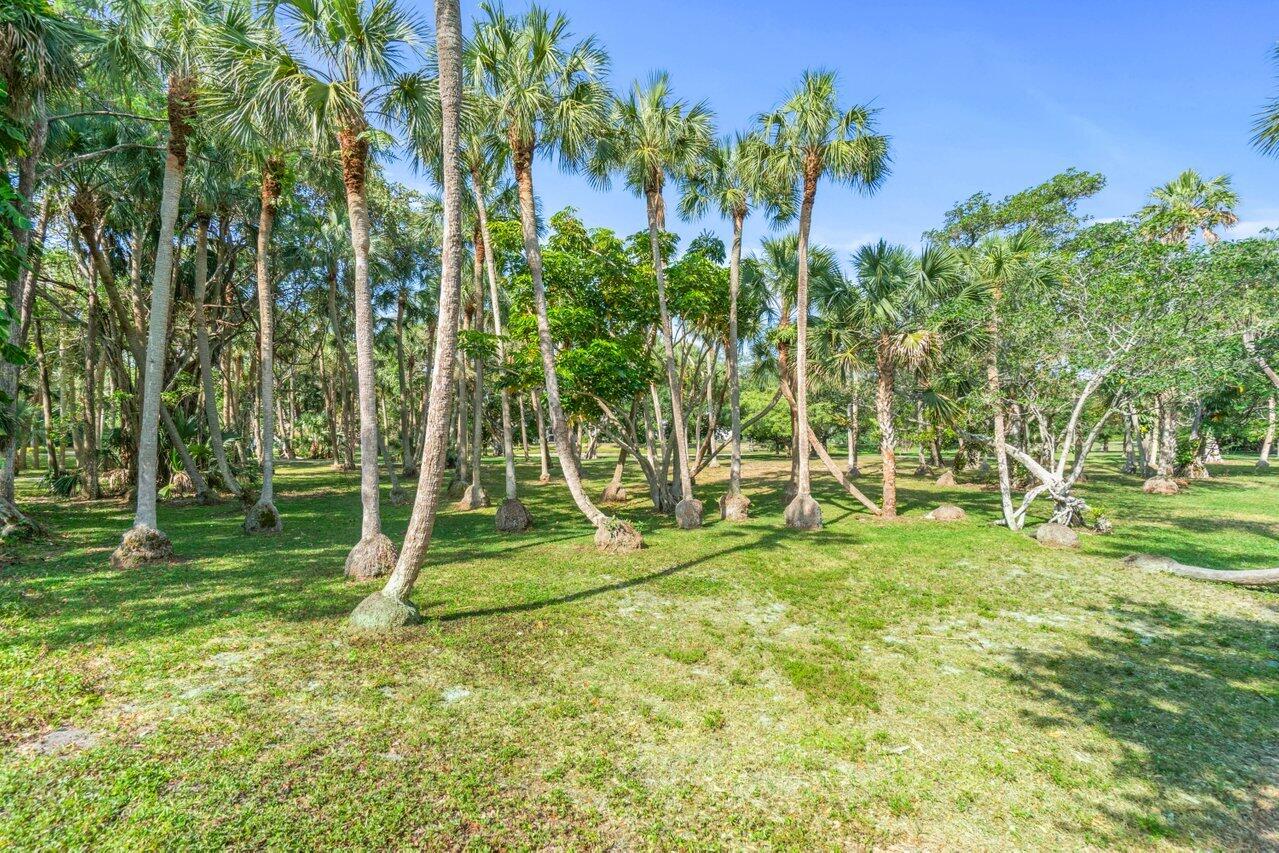 22101 Cocoa Palm Way 157