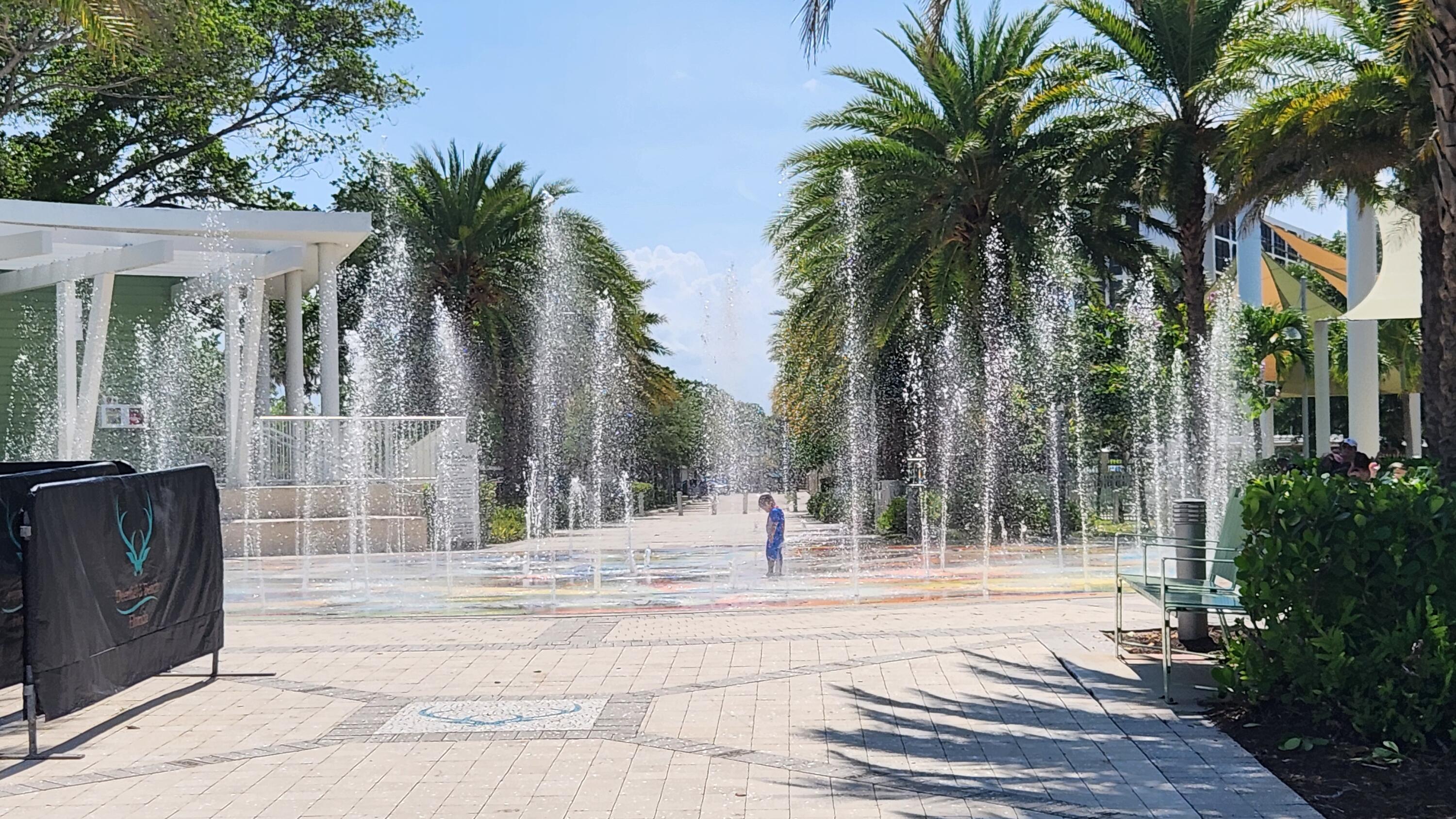 1147 Hillsboro Mile 209