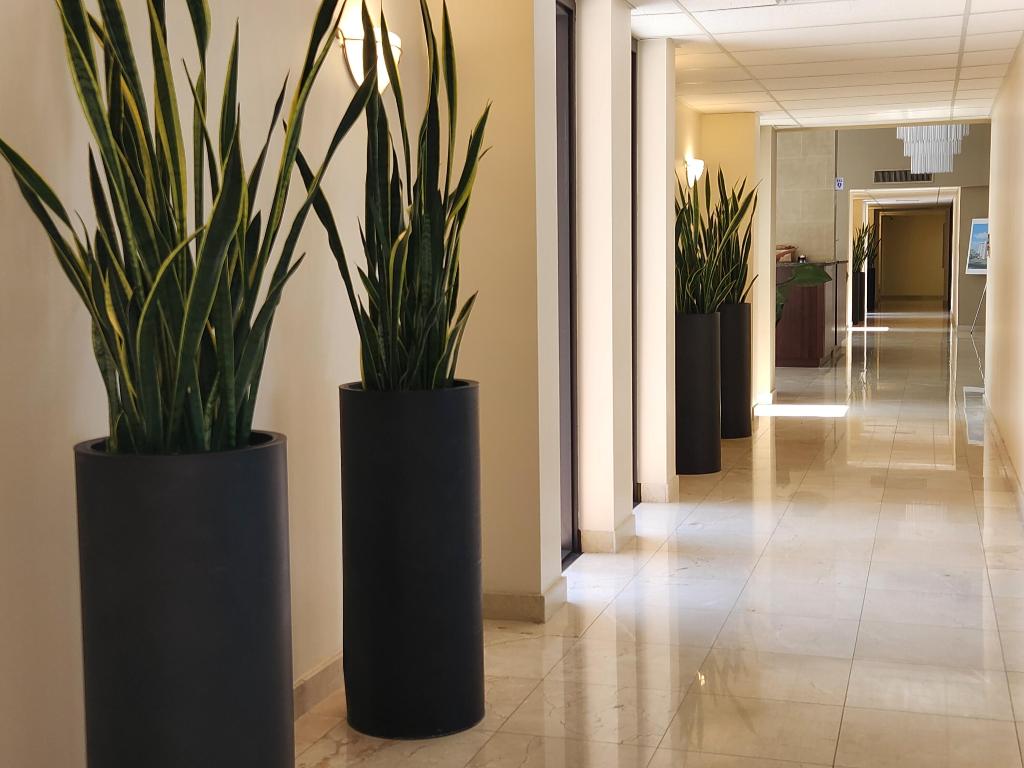 1147 Hillsboro Mile 209