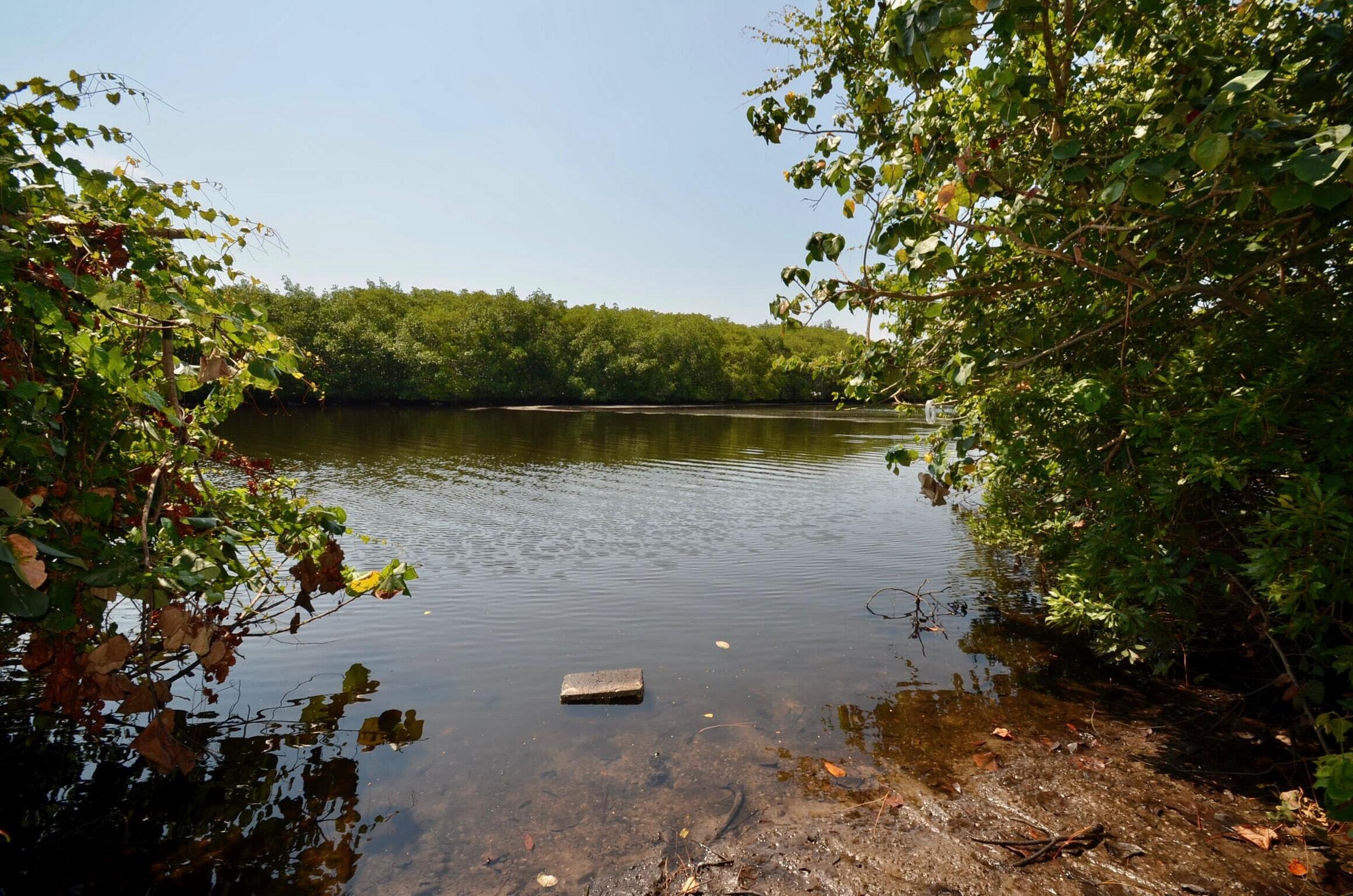 2044 SE Crowberry Drive