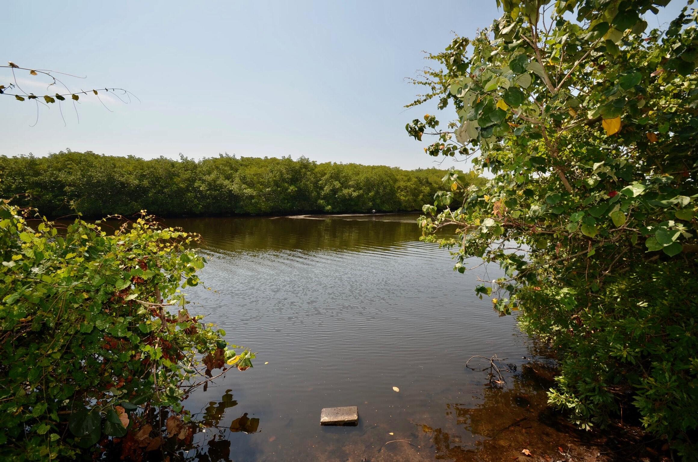 2044 SE Crowberry Drive