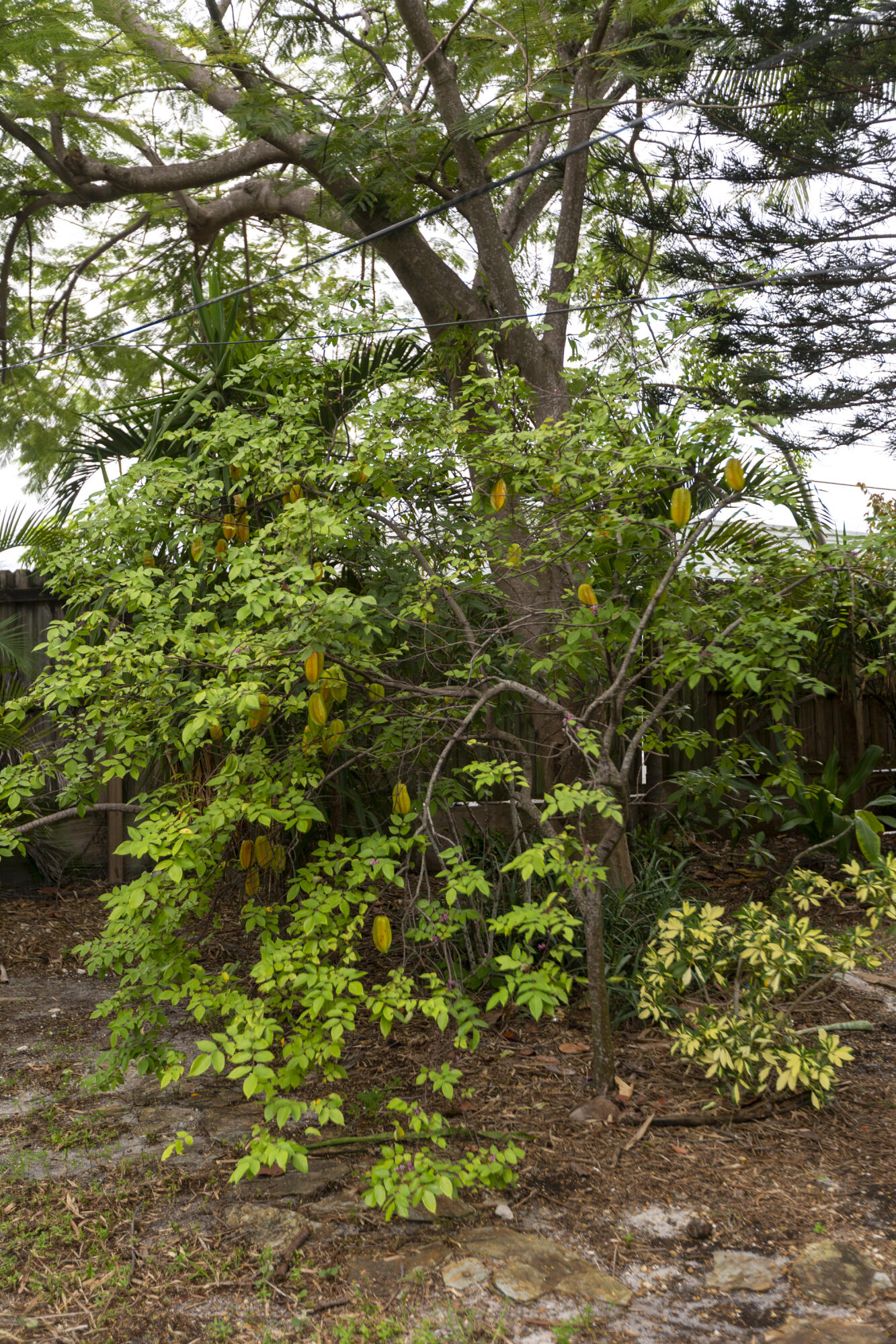 304 SE 3rd Avenue