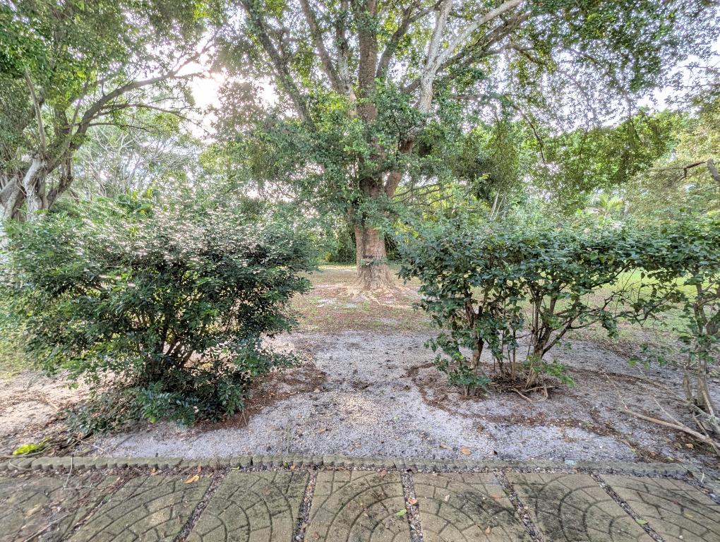 1914 Palmland Drive B