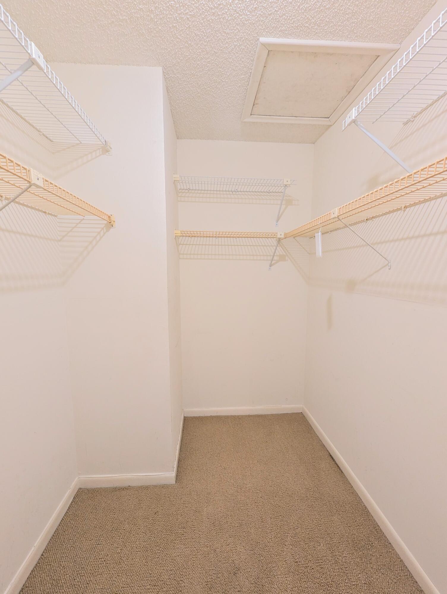 1914 Palmland Drive B