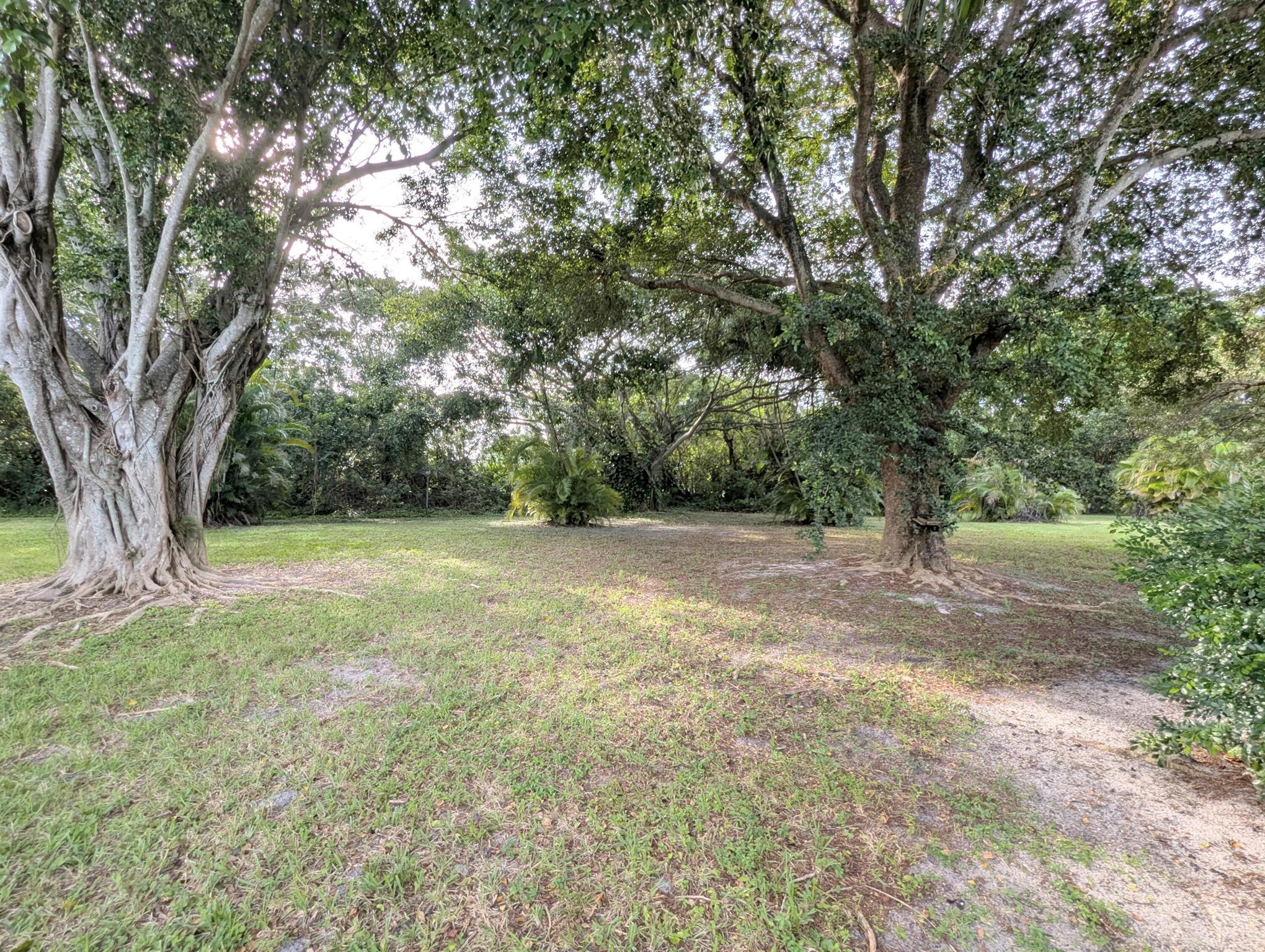 1914 Palmland Drive B