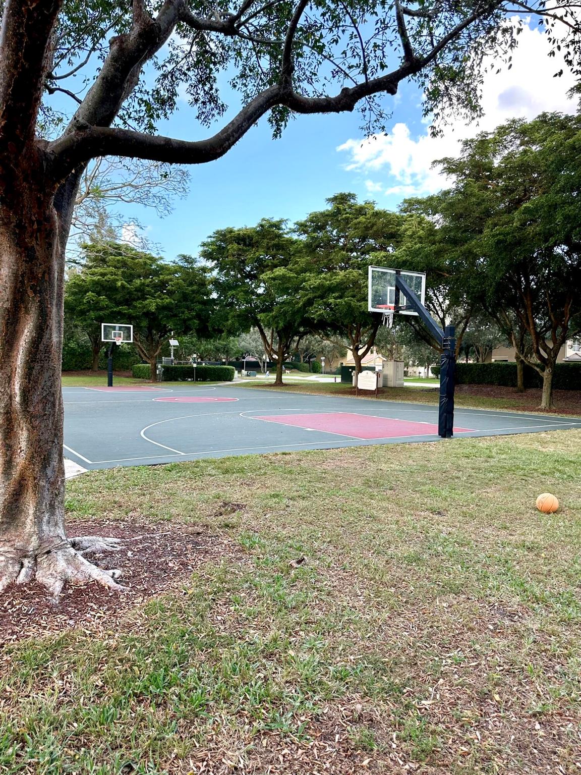 7913 Jewelwood Drive