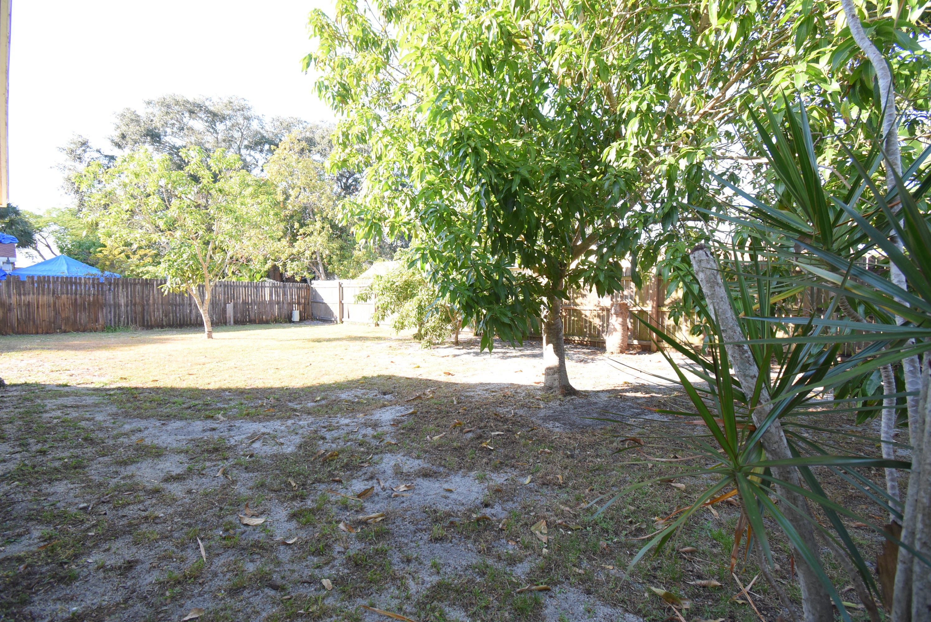 9529 Saddlebrook Drive